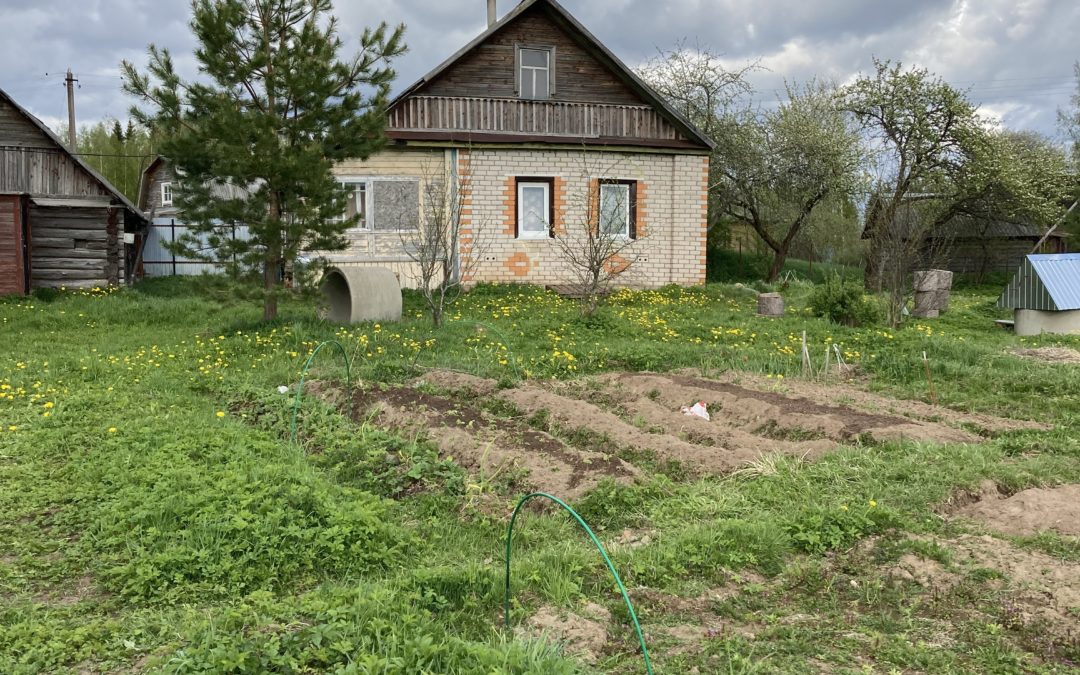Дача: место, где время замедляется, а счастье становится простым