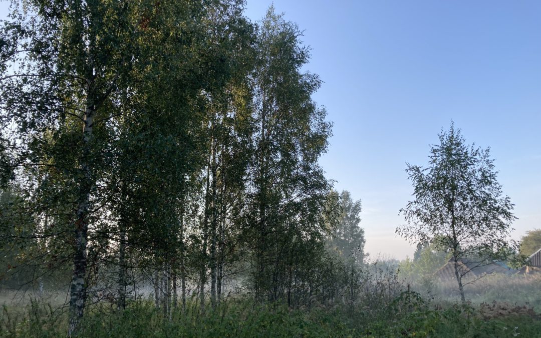 Старые сады Псковской области