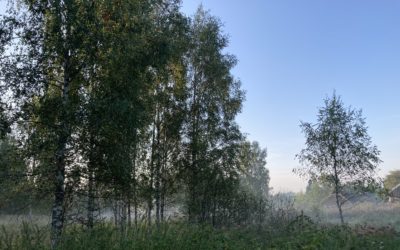 Старые сады Псковской области